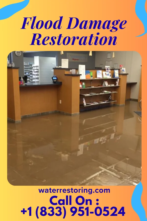 Flood Damage Restoration in Marquette Heights, IL