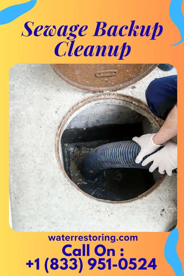 Sewage Backup Cleanup in Marquette Heights, IL