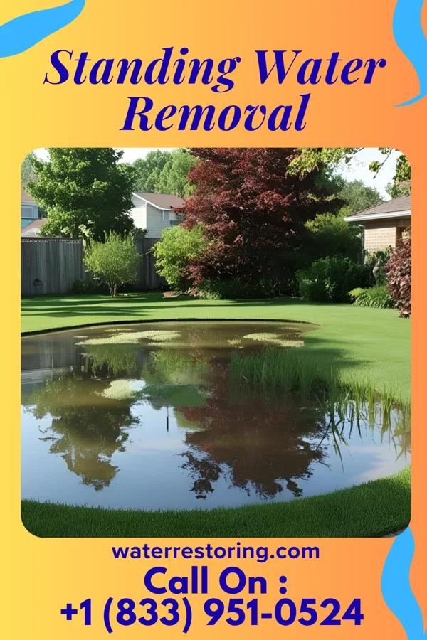 Standing Water Removal in Marquette Heights, IL
